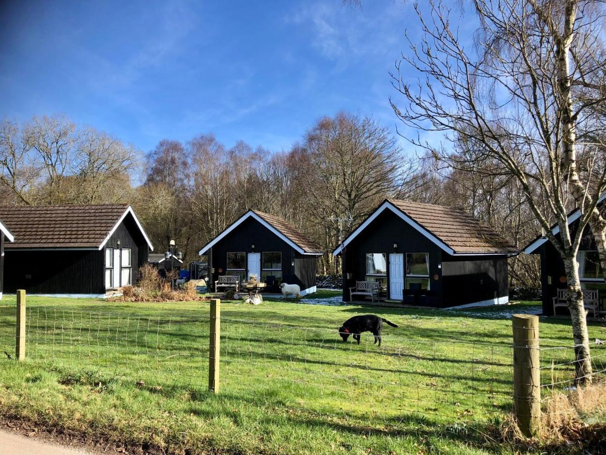 Kilcoy Chalets Muir of Ord Eksteriør bilde