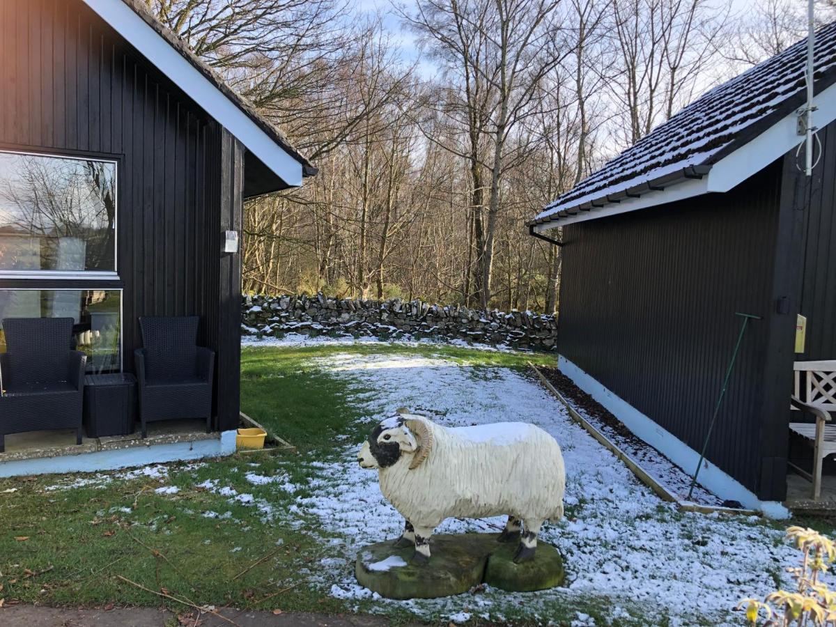 Kilcoy Chalets Muir of Ord Eksteriør bilde