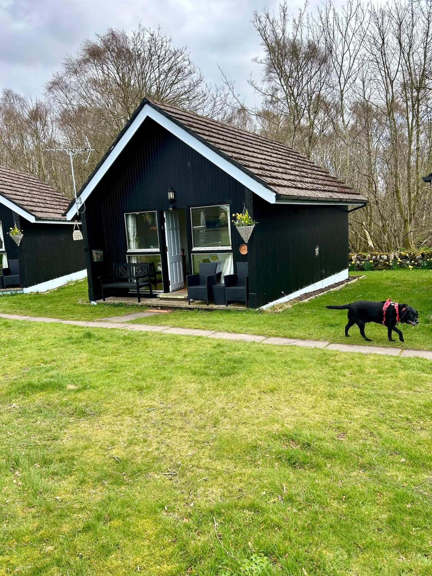 Kilcoy Chalets Muir of Ord Eksteriør bilde