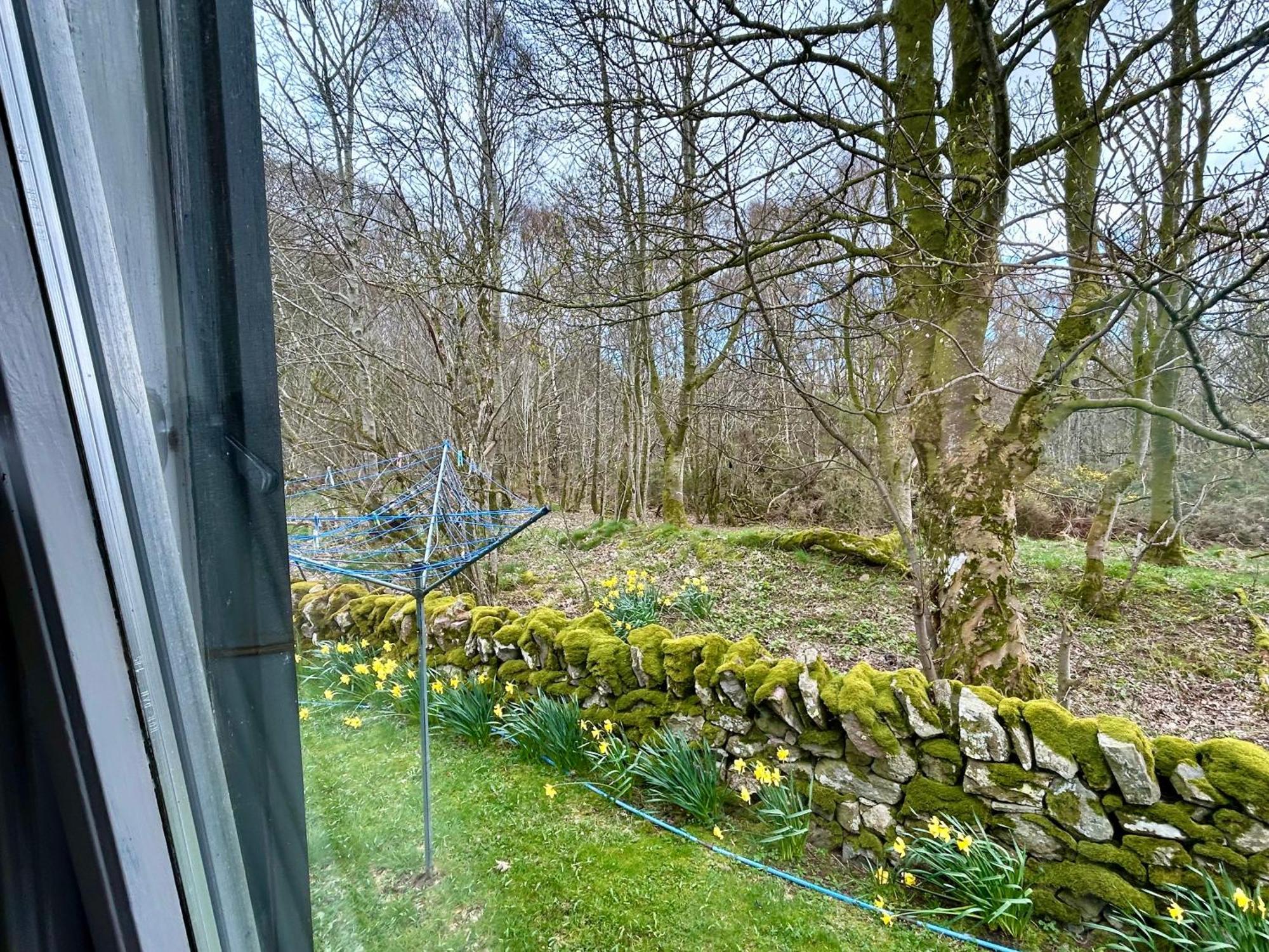 Kilcoy Chalets Muir of Ord Eksteriør bilde
